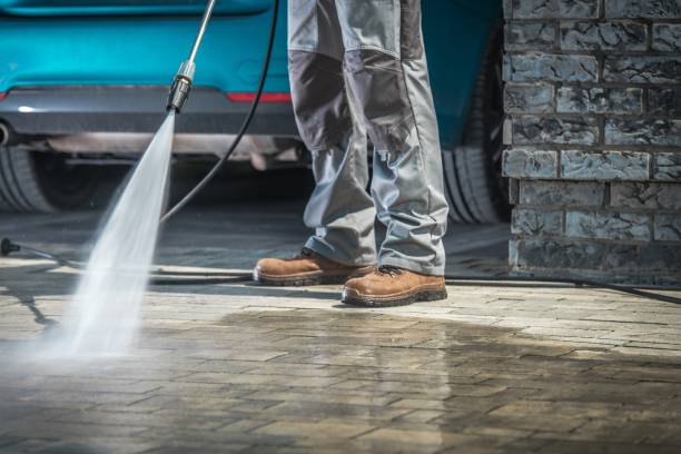Best Roof Cleaning and Mildew Removal in Wixom, MI